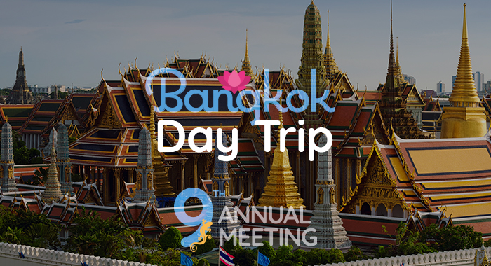 Tour activity