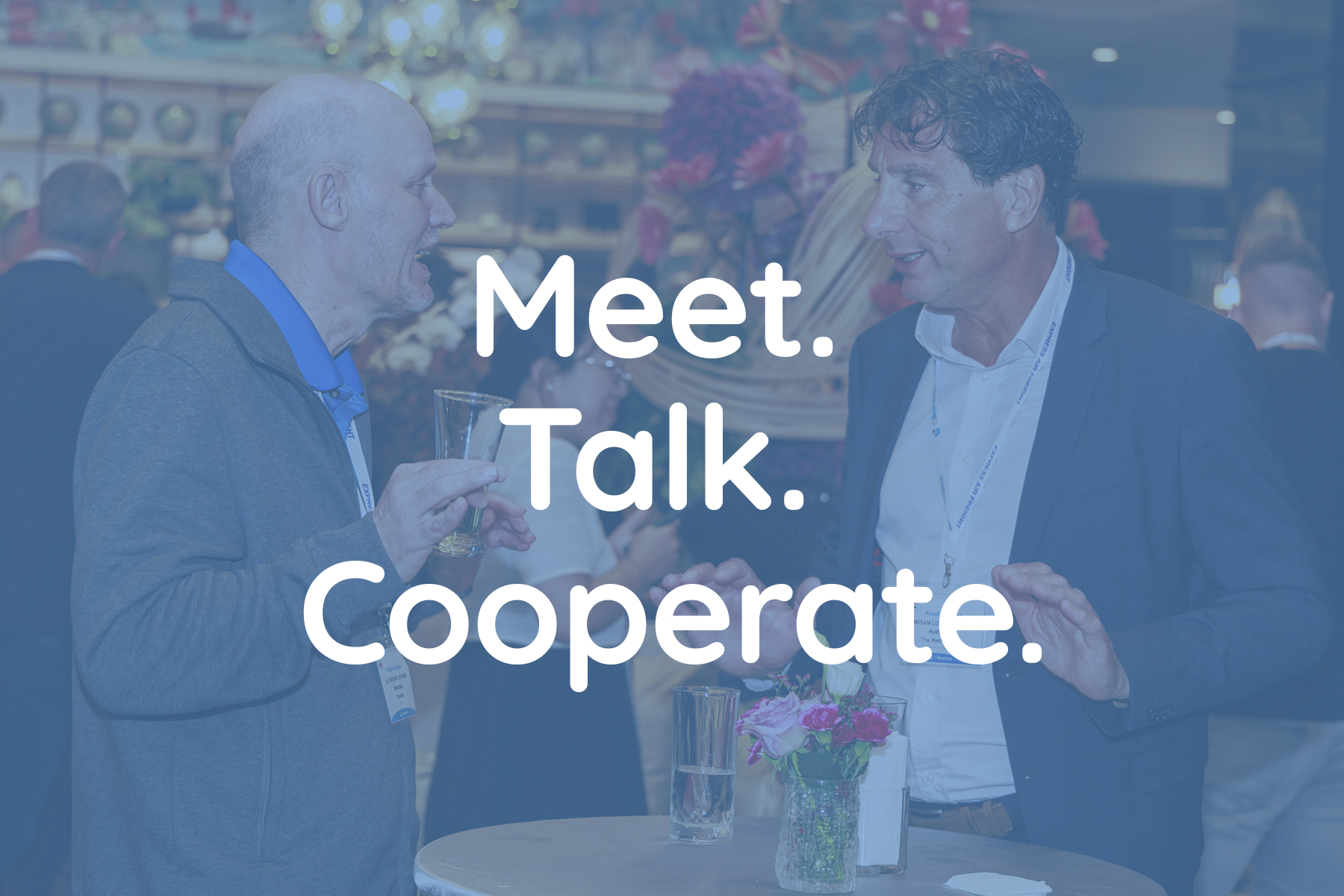 Meet reliable international partners