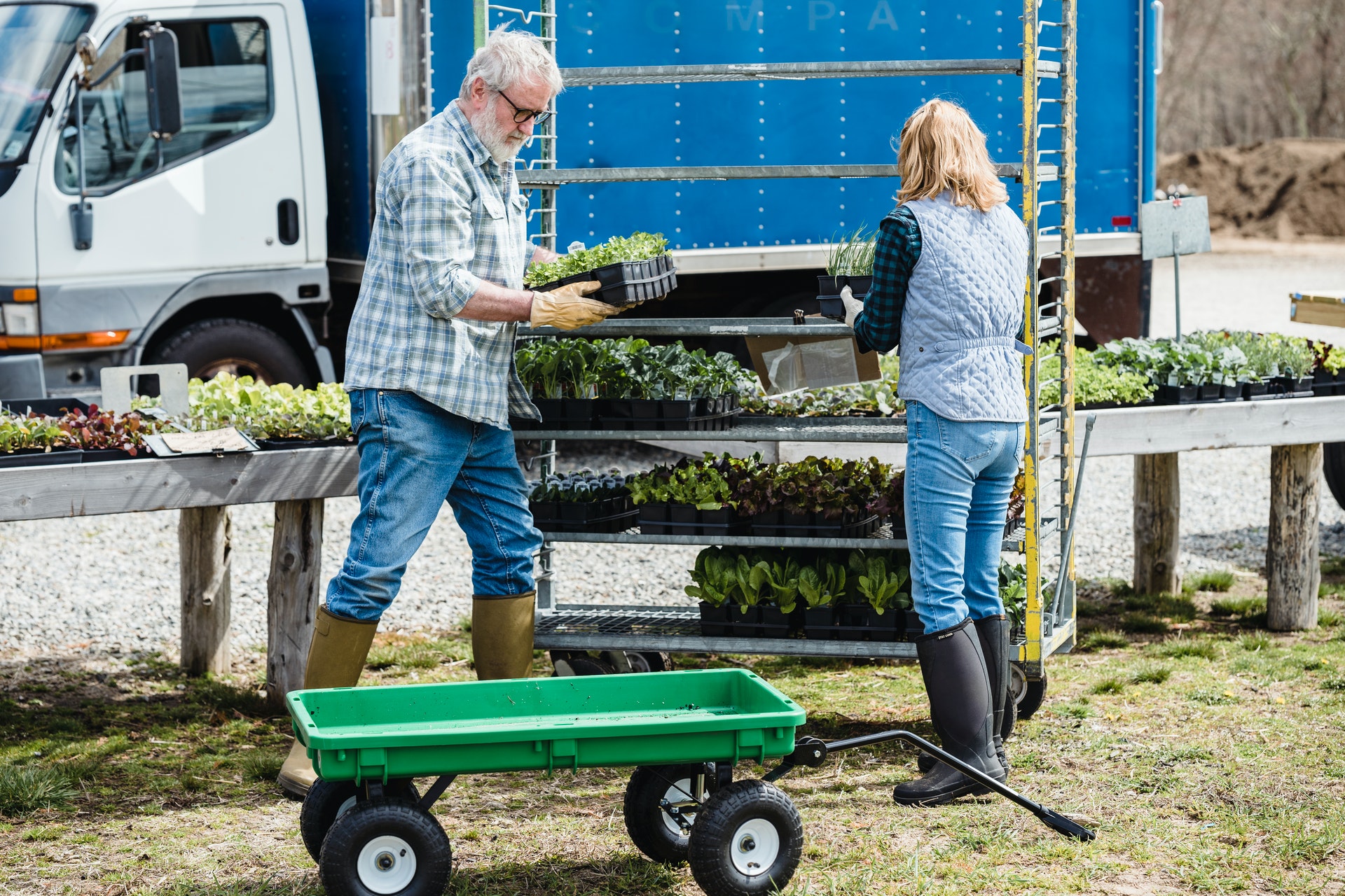 Fresh Produce Shipment - Conqueror Freight Forwarding  